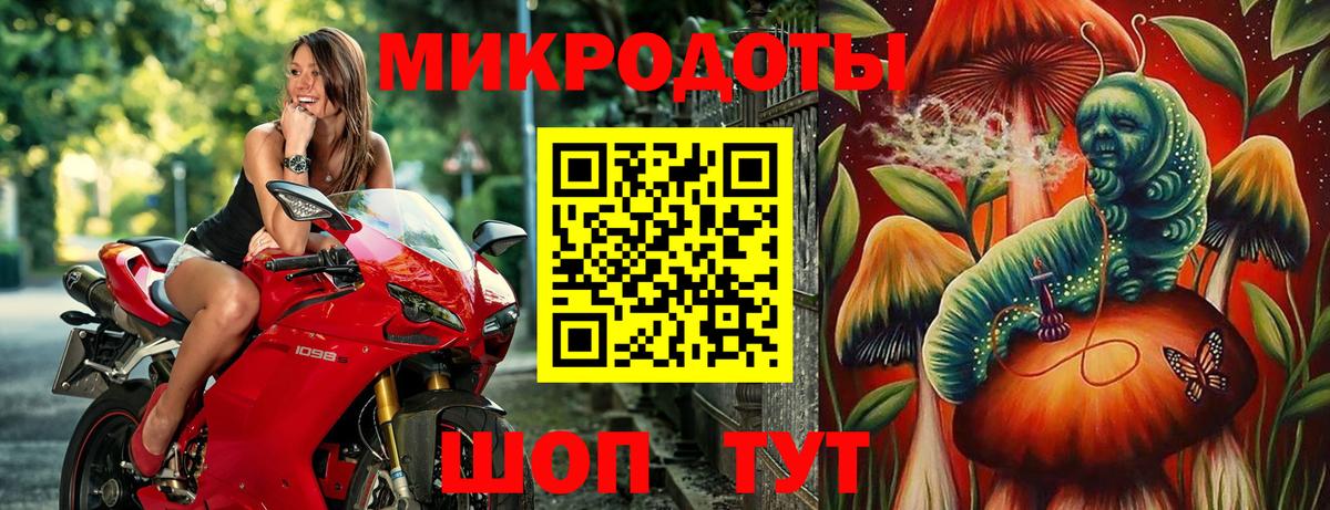 Галлюциногенные грибы Cubensis Ахтубинск