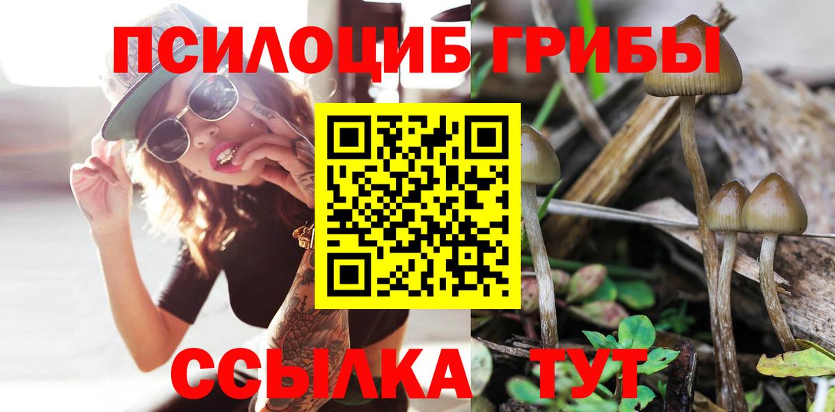 Галлюциногенные грибы мухоморы  Псилоцибиновые грибы MAGIC MUSHROOMS  Ахтубинск  Вход с VPN 